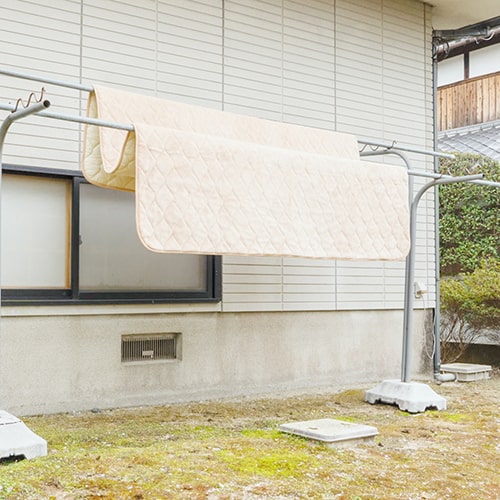 日陰干し