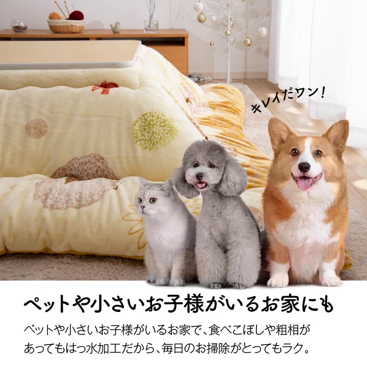 メイの特徴 その1