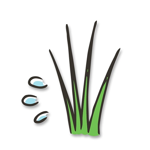 月に1回程度、日陰干し