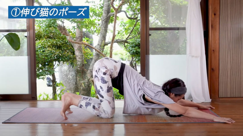 伸び猫のポーズ