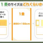 1畳のサイズはどれくらいか