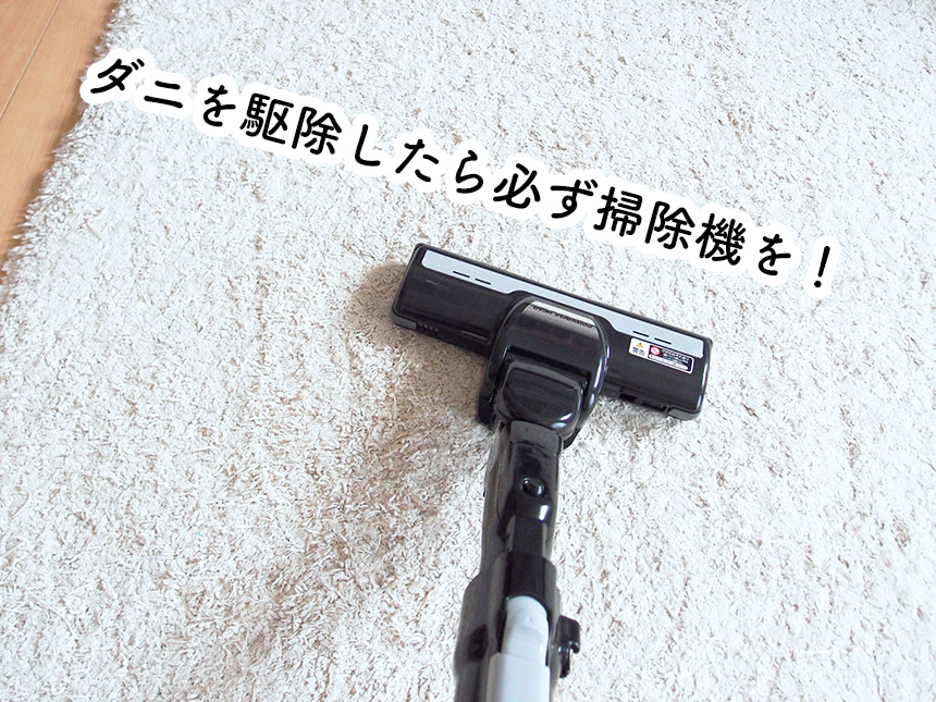 カーペットの掃除機かけ