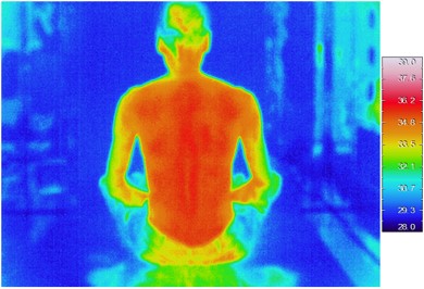 綿敷パッド使用時のサーモグラフ