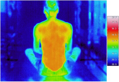 い草敷パッド使用時のサーモグラフ