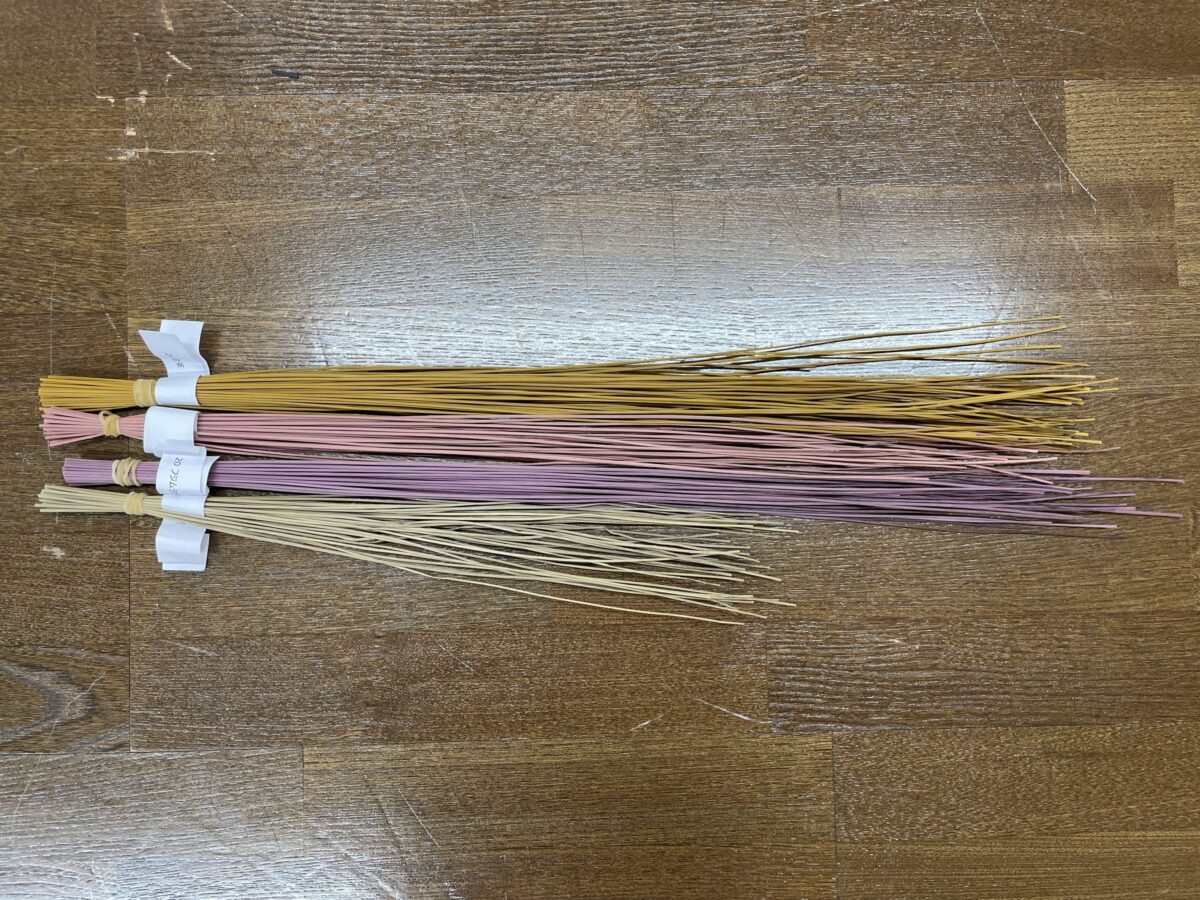 ひらこうさん案①