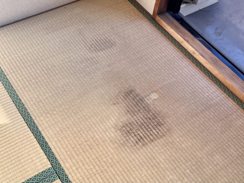 畳にカビが生えた時の対処法