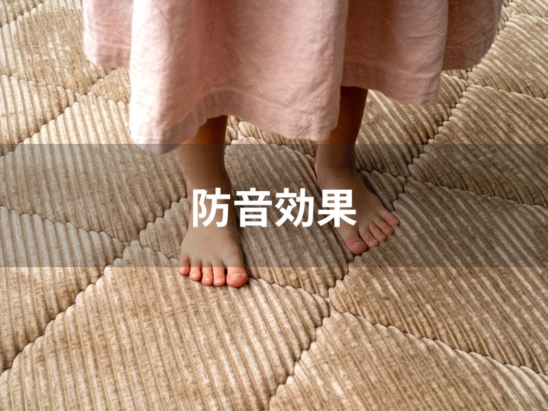 ラグで防音対策