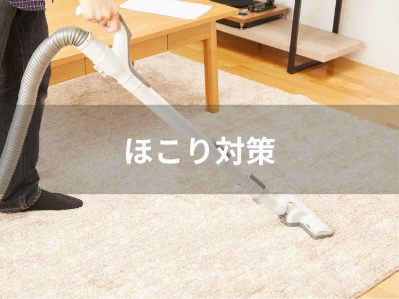 ラグでほこり対策