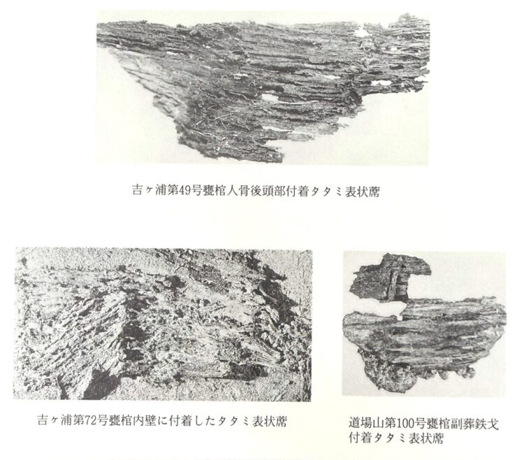 弥生時代のい草